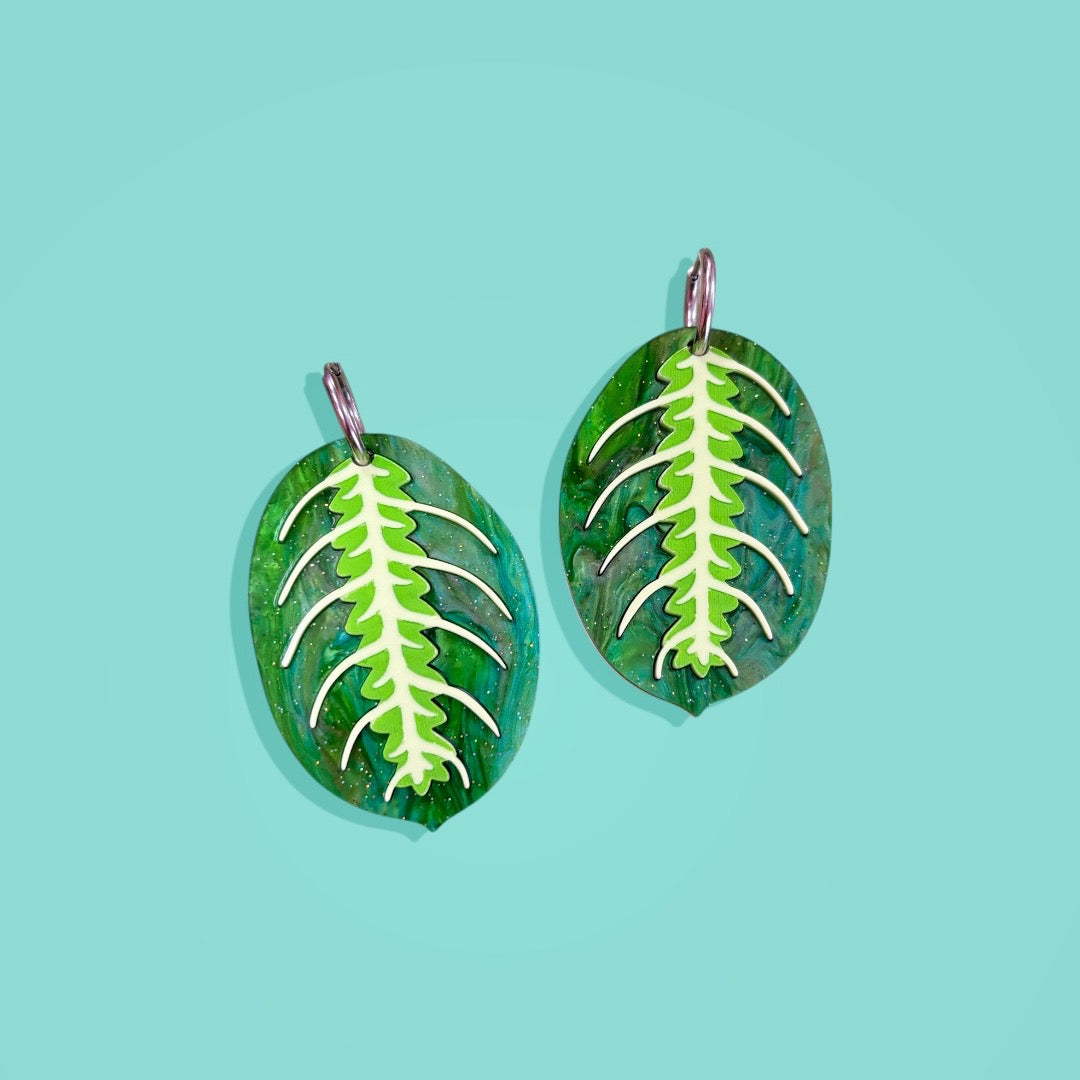 Maranta Lima Limón