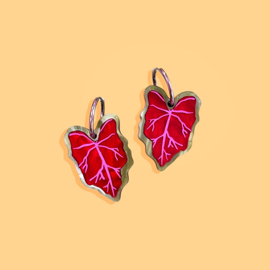 Caladium Rojo