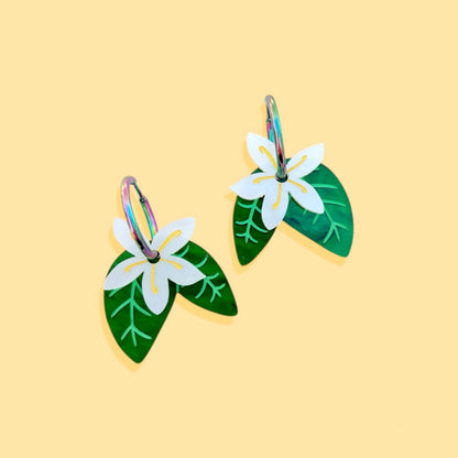 Jazmin - Annie's Fingers