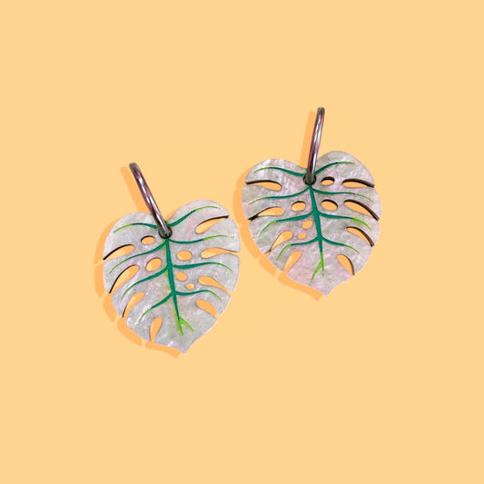 Monstera Deliciosa